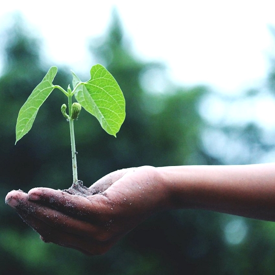 ¡Publicada oficialmente la base de datos de oportunidades de aprendizaje permanente existentes en el campo de la agricultura multifuncional!