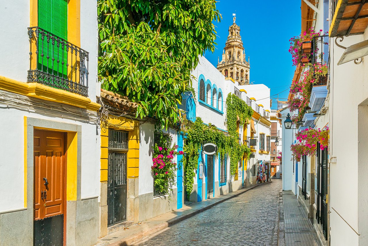 AdobeStock_291560880-1742208456887.jpeg