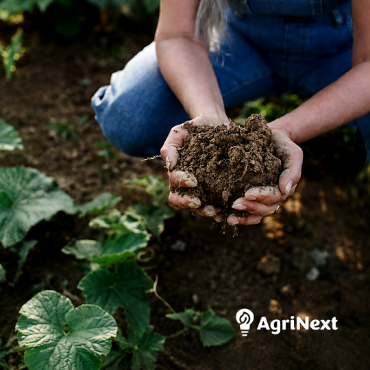 Thank You for Being Part of the AgriNext Journey